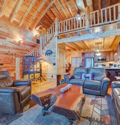 138 Lucius Lane, Cherry Log, GA