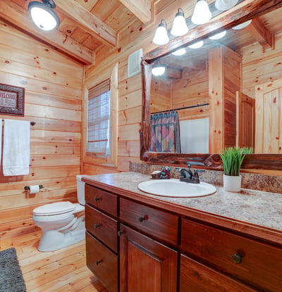 138 Lucius Lane, Cherry Log, GA