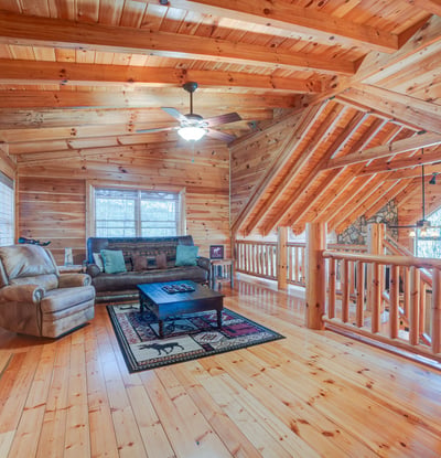 138 Lucius Lane, Cherry Log, GA