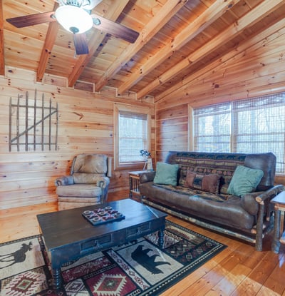 138 Lucius Lane, Cherry Log, GA