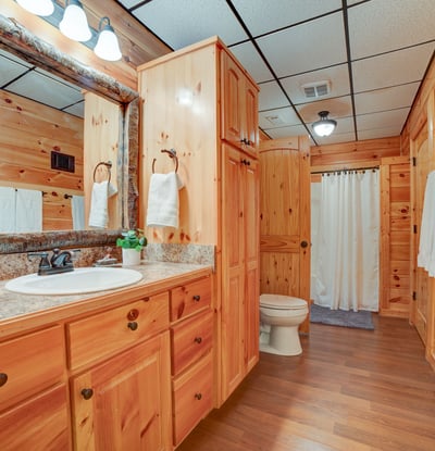 138 Lucius Lane, Cherry Log, GA