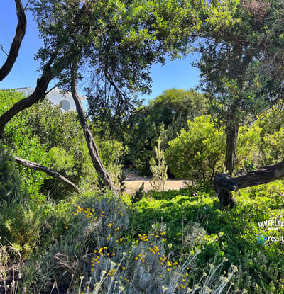 112 Viminaria Road, Harmers Haven, VIC