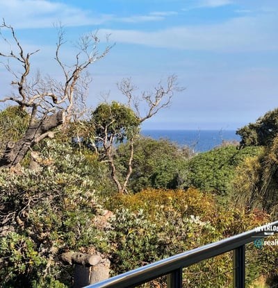 Stunning coastal view framed by lush greenery, perfect for nature enthusiasts seeking tranquility and escape.