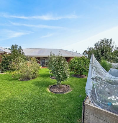 This property features a spacious backyard with flourishing fruit trees and a versatile garden area.