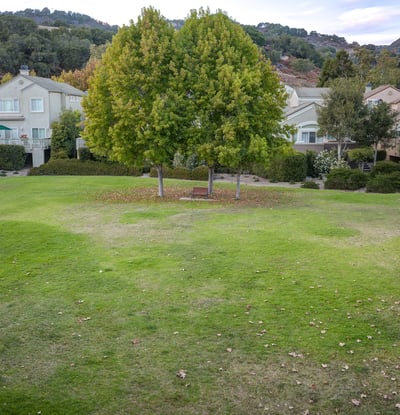 6455 Cormorant Way, Avila Beach, CA