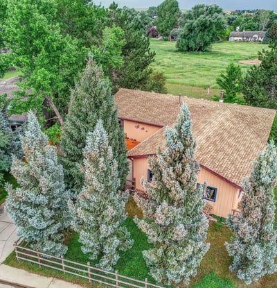 Manila Place, Niwot, CO