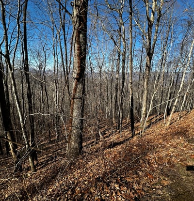 2223 Scarlet Ridge, Sylva, NC