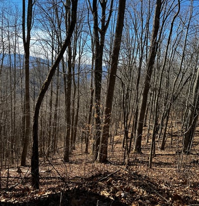 2223 Scarlet Ridge, Sylva, NC
