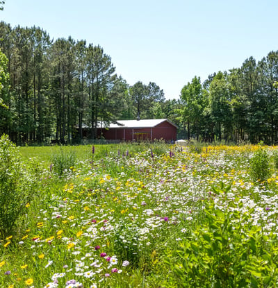 25610 Chance Farm Road, Royal Oak, MD