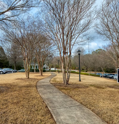 1955 Nocturne Drive, Unit #3204, Alpharetta, GA