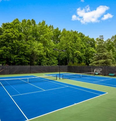1110 Bascomb Farm Drive, Alpharetta, GA
