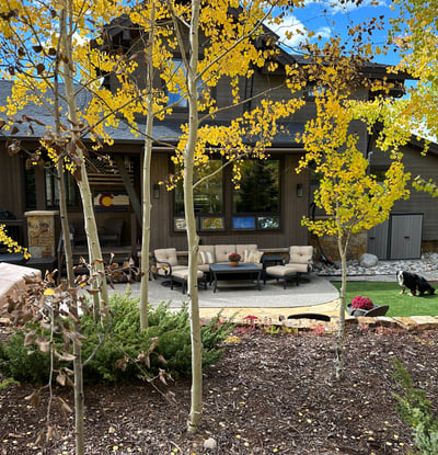 240 Game Trail Road, Silverthorne, CO