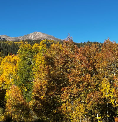 240 Game Trail Road, Silverthorne, CO