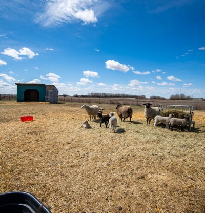 55506 Range Road 254, Sturgeon County, AB
