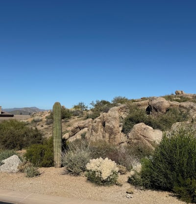 View of nearby modern homes illustrating the cohesive design, upscale feel, and desert setting of the Sereno Canyon community.