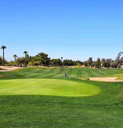 Golf course featuring pristine greens, sand bunkers, and open fairways. This Phoenix community offers a scenic and active outdoor lifestyle.