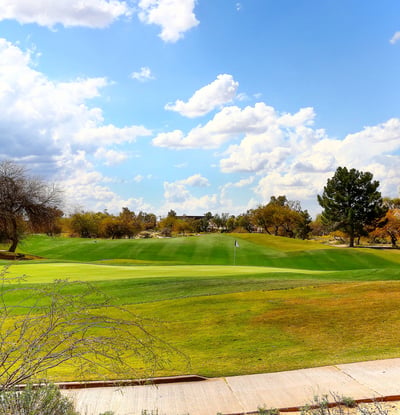 Wide golf course view featuring vibrant greens, mature trees, and desert surroundings. This Phoenix community provides a scenic setting with recreational amenities and a peaceful outdoor environment.