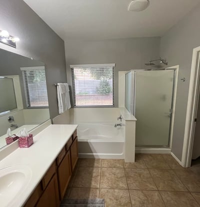 Spacious primary bath featuring a soaking tub, separate shower, dual-sink vanity, and direct access to the walk-in closet, creating a comfortable owner's retreat.