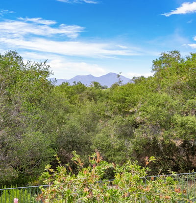 1 Tucson, Coto de Caza, CA