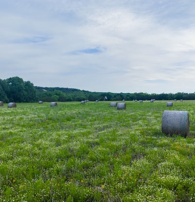 16833 County Road 2200, Lometa, TX