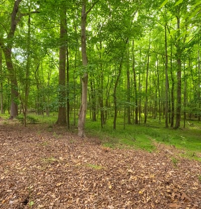 1800 Chestnut Lane, Matthews, NC