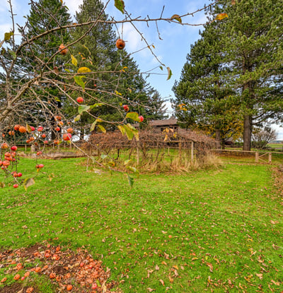 37902 SE Porter Road, Estacada, OR