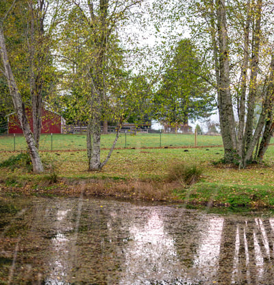 37902 SE Porter Road, Estacada, OR