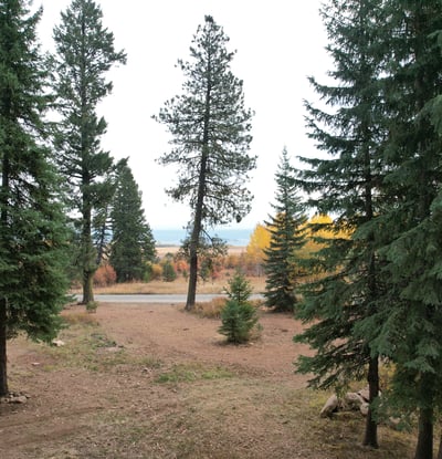 1608 Bear Trail Loop, Cascade, ID