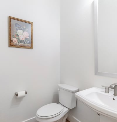 4309 Double Diamond Drive, Prosper, TX