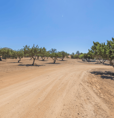 2727 Sache Street, Acton, CA