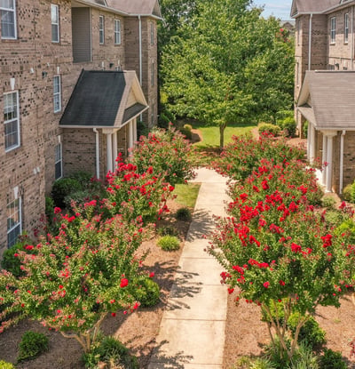 The Phoenix Apartments of Elon, Elon, NC