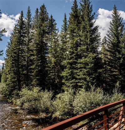 108 Ginger Quill Lane, Breckenridge, CO