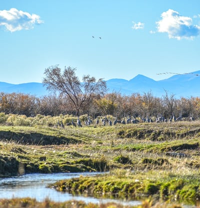 0 County Road 15.5, Blanca, CO
