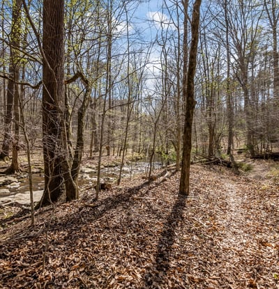 825 Oxbow Crossing, Chapel Hill, NC
