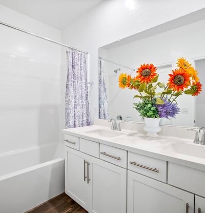 600 N. Carriage Hill Dr. #1045, Las Vegas, NV