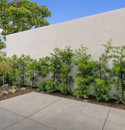 2413 CURTIS AVENUE #B, B, REDONDO BEACH, CA