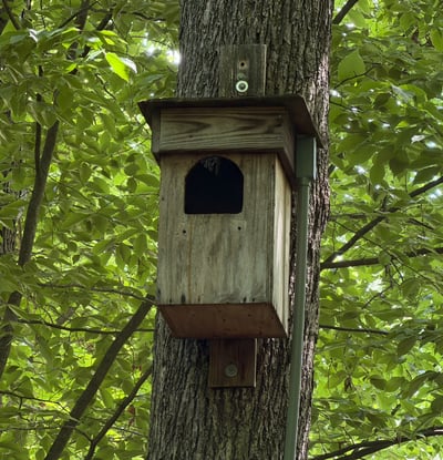 A truly special piece of the property s story: this barred owl nesting box has welcomed nesting owls almost every year for the past 16 years, with babies often making their spring debut. A webcam offers a front-row view of this quiet backyard tradition one more way this home feels connected to nature.