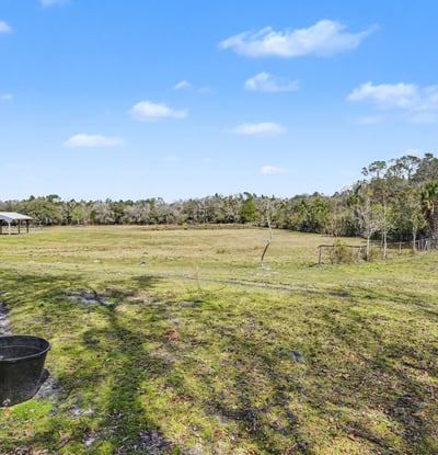View from the fenced in dog yard looking out into the pasture! This pasture has a natural rolling hill that slopes down providing for natural drainage.