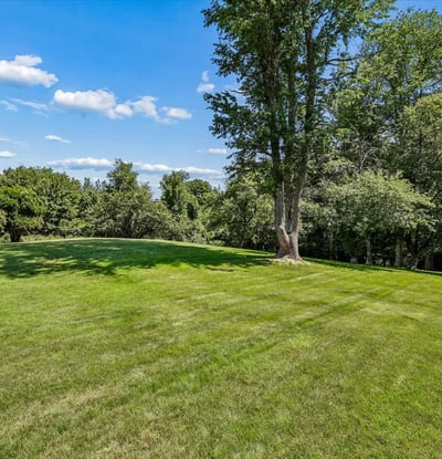 Expansive green space surrounded by mature trees, perfect for outdoor activities and future landscaping projects.