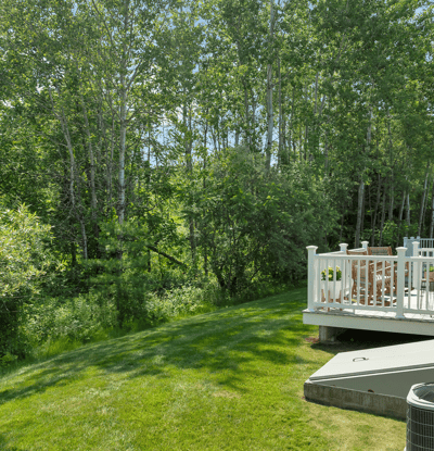 Spacious backyard borders lush greenery, ideal for outdoor gatherings and peaceful retreats. Perfect for nature lovers!