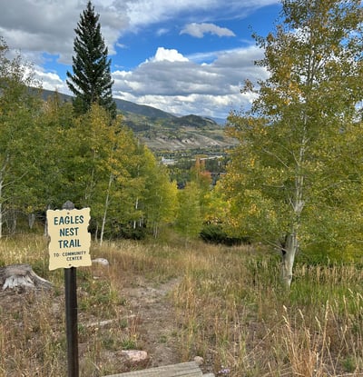 240 Game Trail Road, Silverthorne, CO