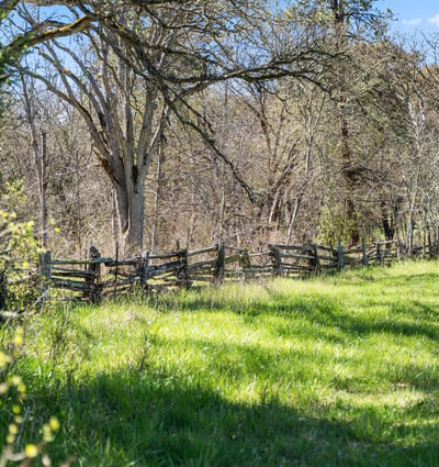 Buckhorn Road #1000, Ashland, OR
