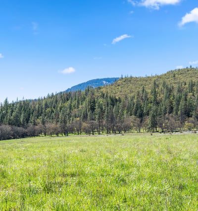 Buckhorn Road #1000, Ashland, OR