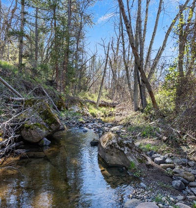 Buckhorn Road #1000, Ashland, OR
