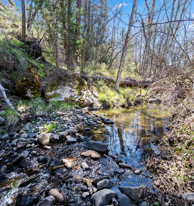 Buckhorn Road #1000, Ashland, OR
