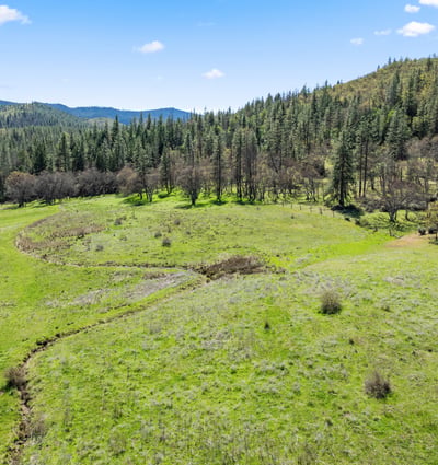 Buckhorn Road #1000, Ashland, OR