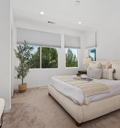 250 Novel, Irvine, CA