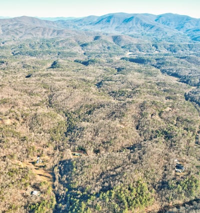 138 Lucius Lane, Cherry Log, GA