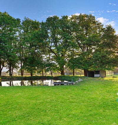 Expansive green space features a tranquil pond, surrounded by mature trees, perfect for outdoor gatherings.