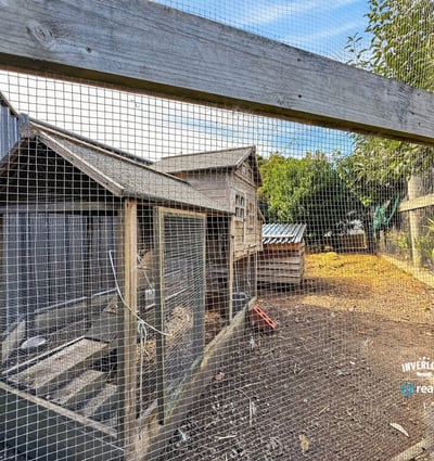Explore this unique property featuring an expansive outdoor area with poultry housing and ample space for gardening.
